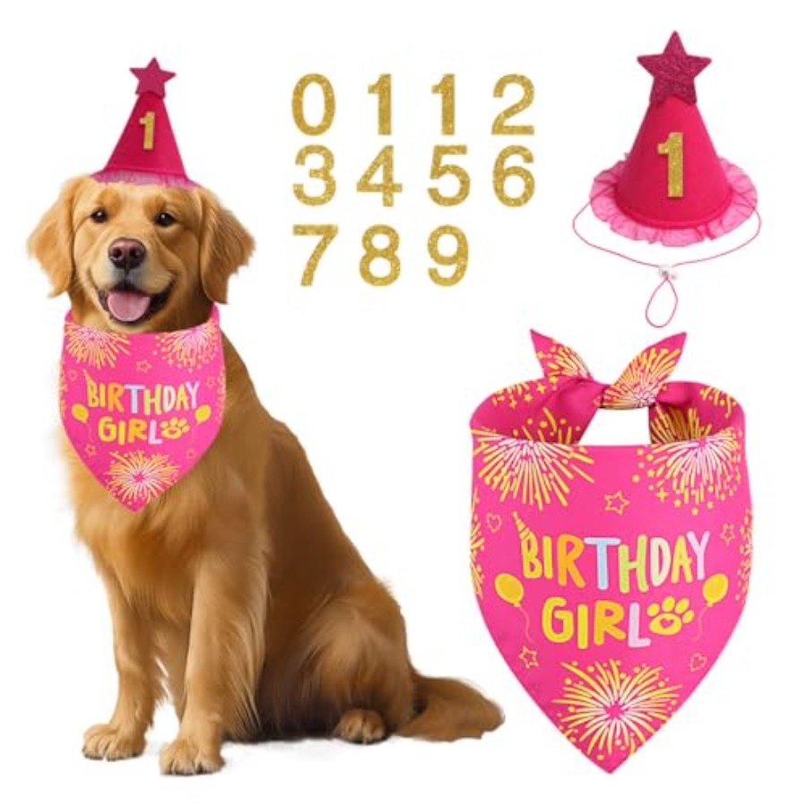 Pet X Supplies & Tack Reviews - Dog Birthday Party Supplies, Rose Pink