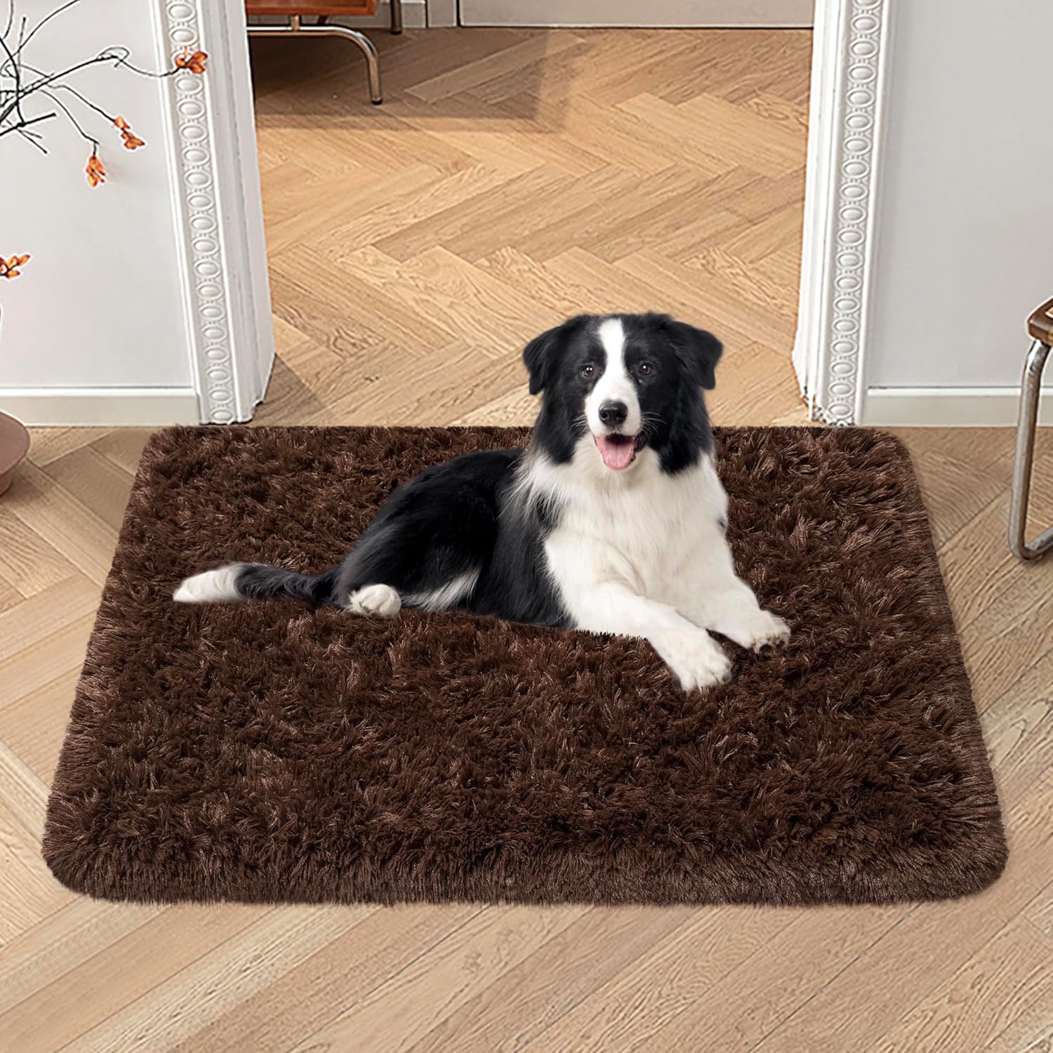 VIKAMA Silk And Wool Carpets A - Pet Supplies Dog Wash incelemesi ve fiyatı