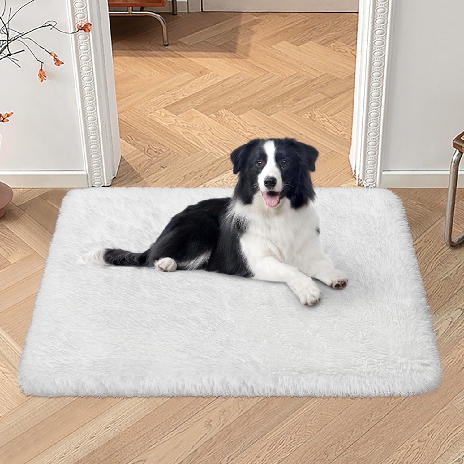 VIKAMA Silk And Wool Carpets A - Pet Supplies Dog Wash incelemesi ve fiyatı