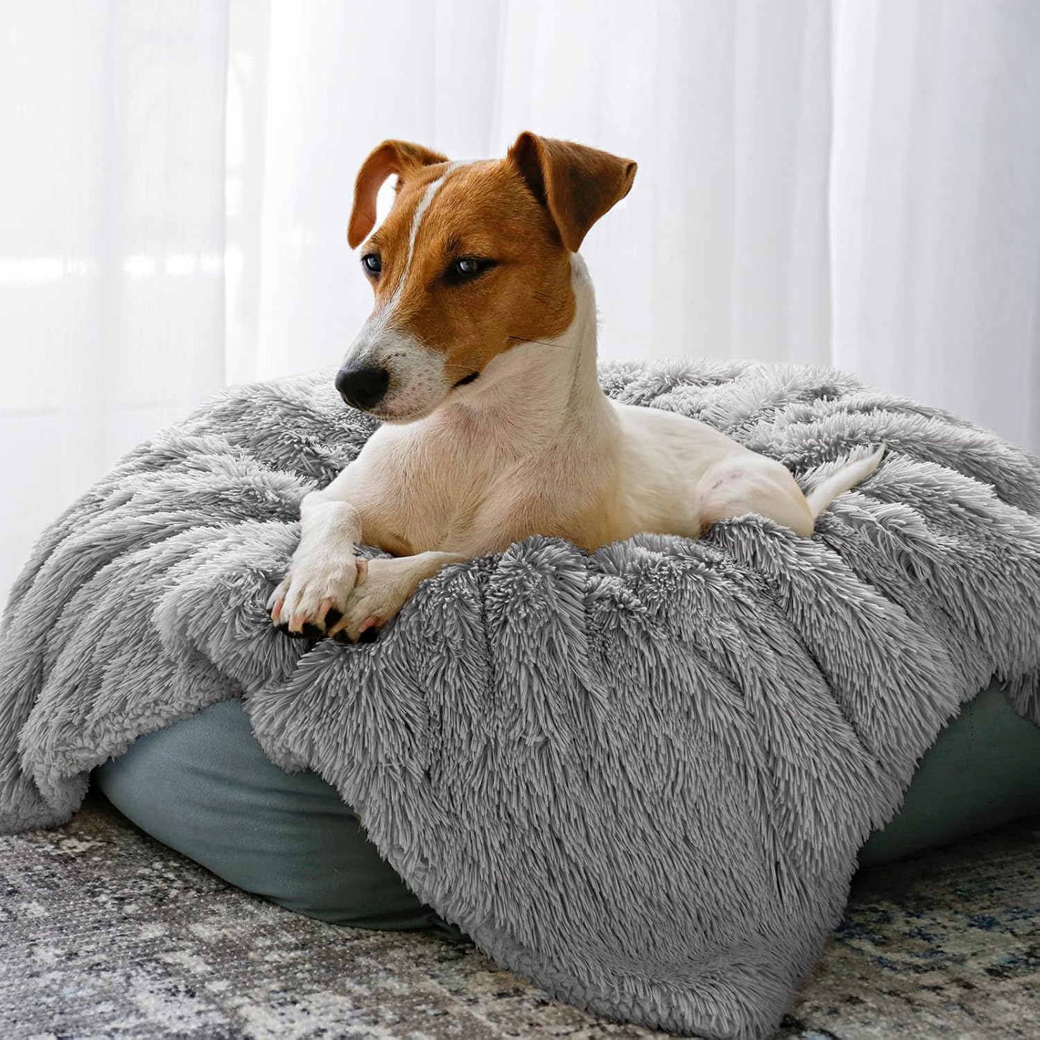 Dog Blanket Soft and Skin Frie - Pet Supplies Dog Wash incelemesi ve fiyatı