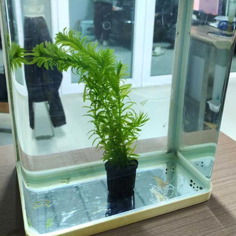 4Pcs Pet Fish Tank Landscaping - Aquarium Fish Tank incelemesi ve fiyatı
