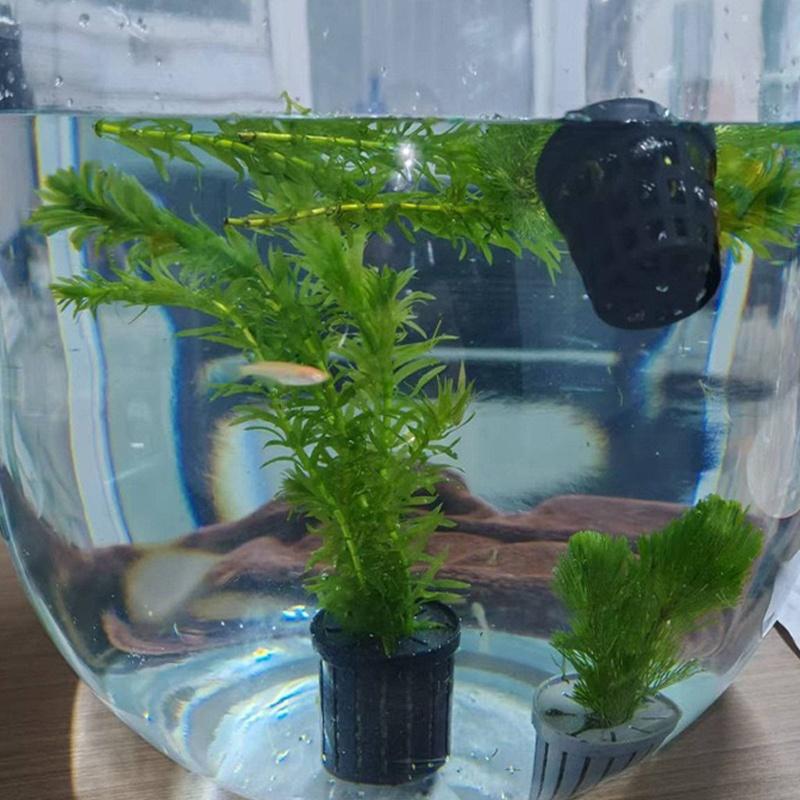 4Pcs Pet Fish Tank Landscaping - Aquarium Fish Tank incelemesi ve fiyatı