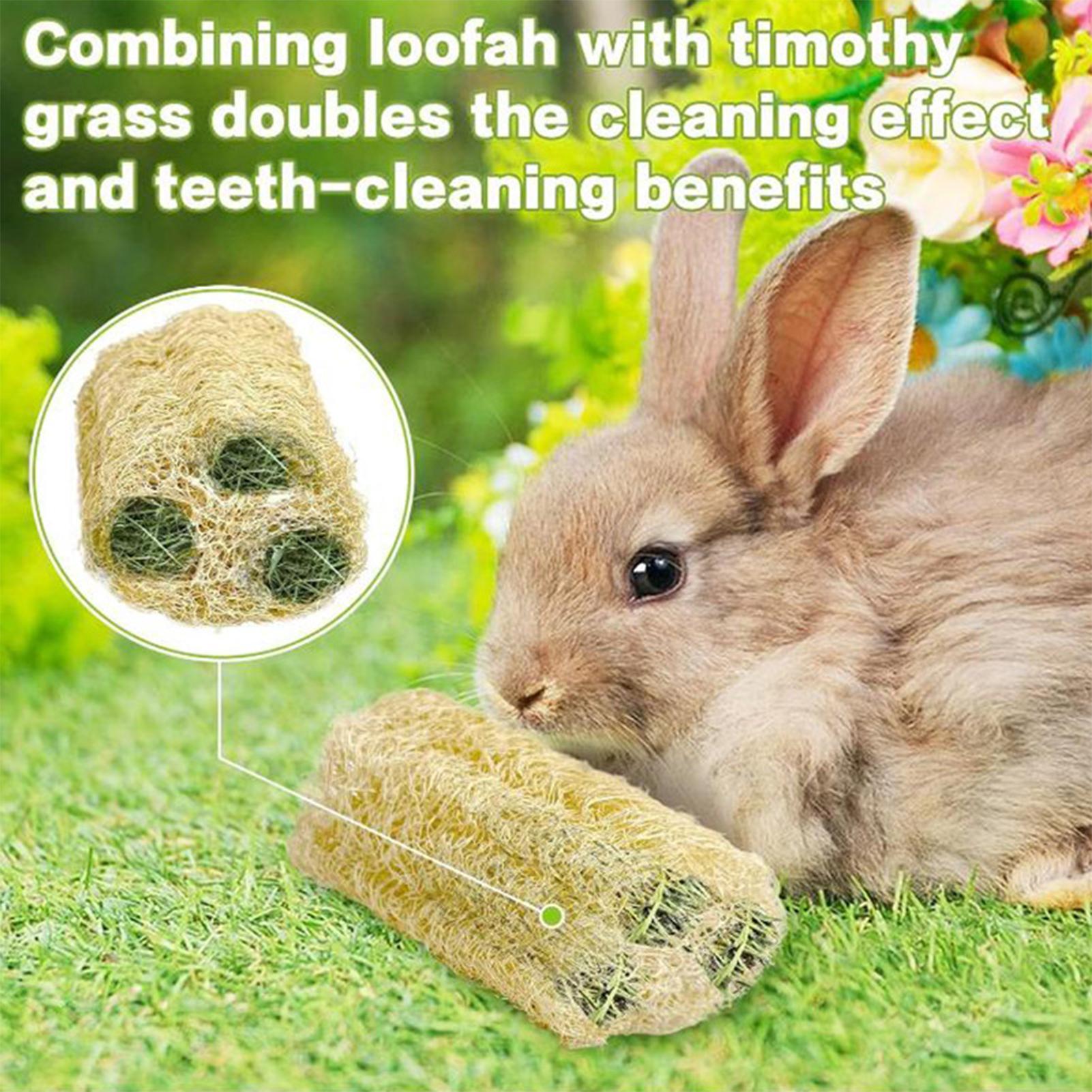 Chew Toys For Bunnies 4 Pieces - Pet Supplies Pet Shop incelemesi ve fiyatı