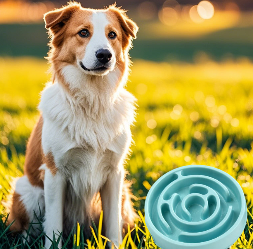 Slow Feeder Dog Bowl - Non-Sli - Slow Feeder Dog Bowl incelemesi ve fiyatı