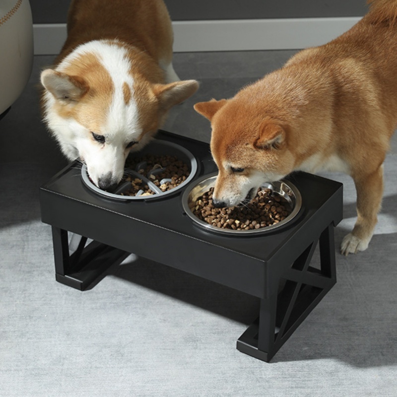 Slow Feeder Dog Bowl Improve D - Slow Feeder Dog Bowl incelemesi ve fiyatı