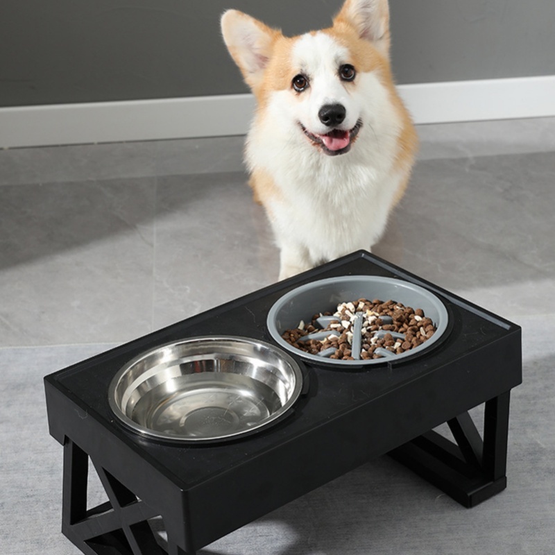 Slow Feeder Dog Bowl Improve D - Slow Feeder Dog Bowl incelemesi ve fiyatı