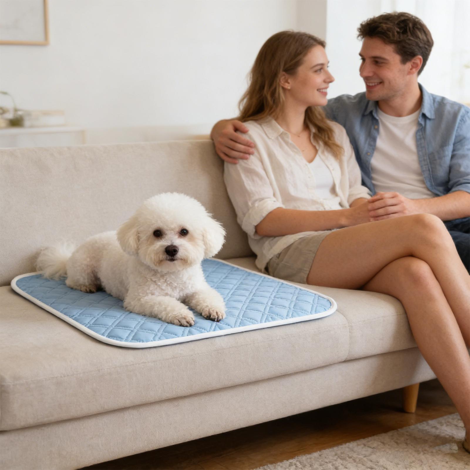 Pet Cooling Pad Ceiling Washab - Pet Supplies Dog Wash incelemesi ve fiyatı