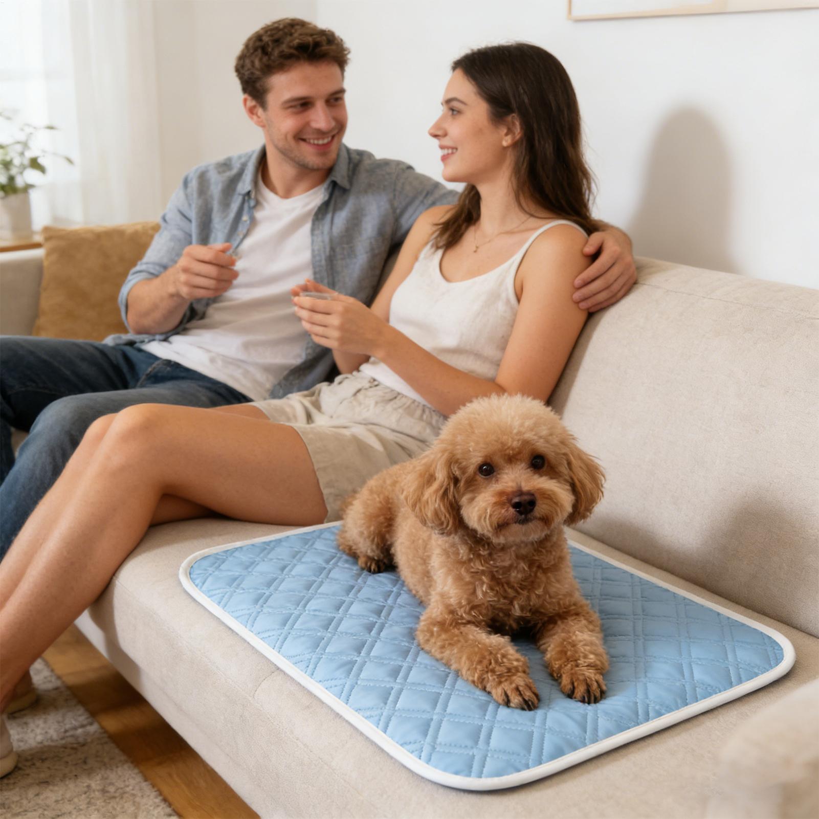 Pet Cooling Pad Ceiling Washab - Pet Supplies Dog Wash incelemesi ve fiyatı