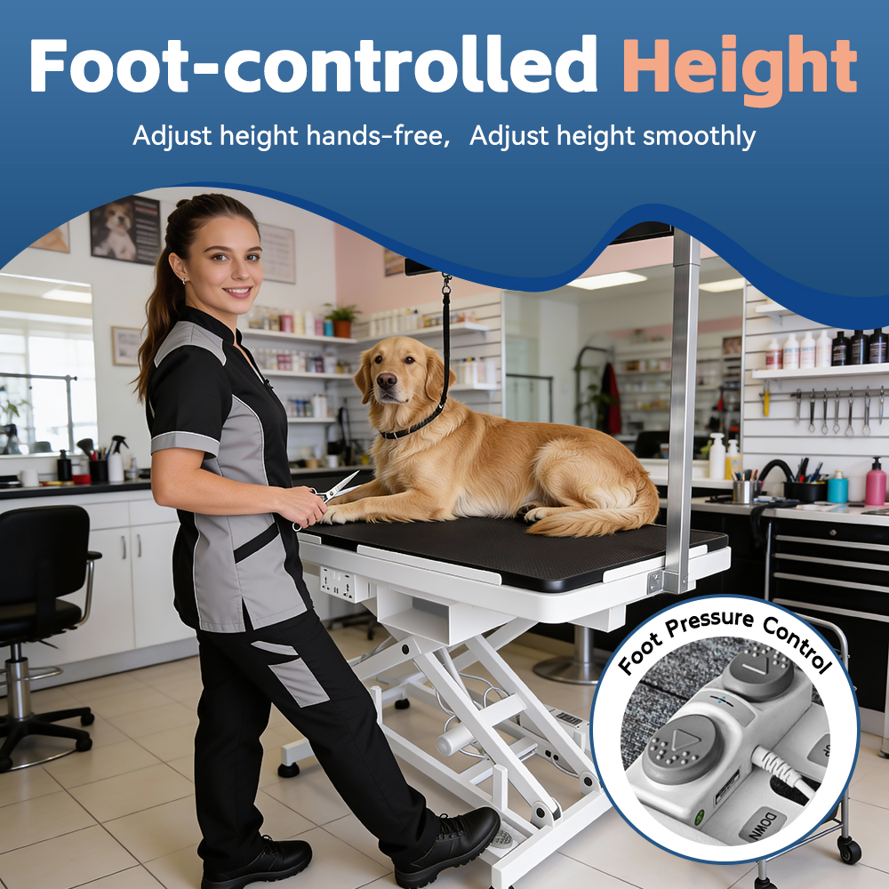 Professional Heavy Duty Adjust - Pet X Supplies & Tack Reviews incelemesi ve fiyatı