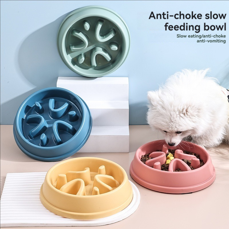 Pet Supplies Dogs and Cats Slo - Slow Feeder Dog Bowl incelemesi ve fiyatı