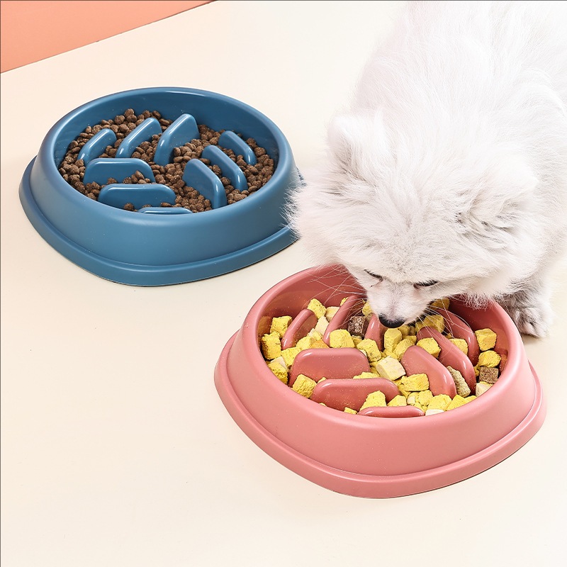Pet Supplies Dogs and Cats Slo - Slow Feeder Dog Bowl incelemesi ve fiyatı