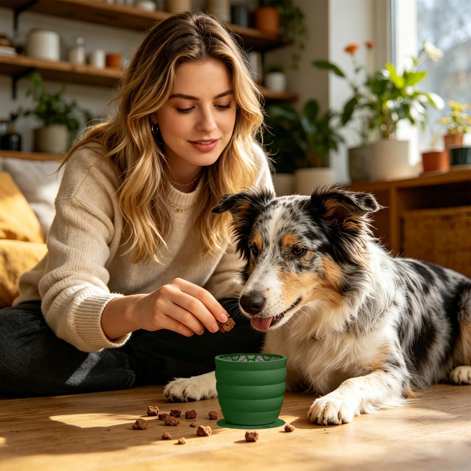 Slow Feeder Silicone Pet Bowl  - Slow Feeder Dog Bowl incelemesi ve fiyatı