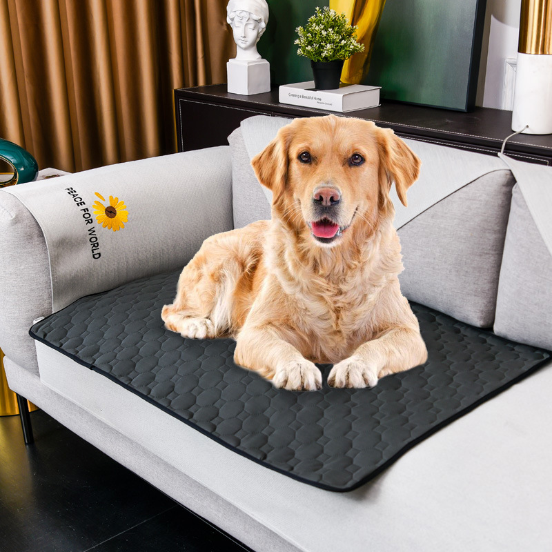 Dog Urine Mat Washable Reusabl - Pet Supplies Dog Wash incelemesi ve fiyatı