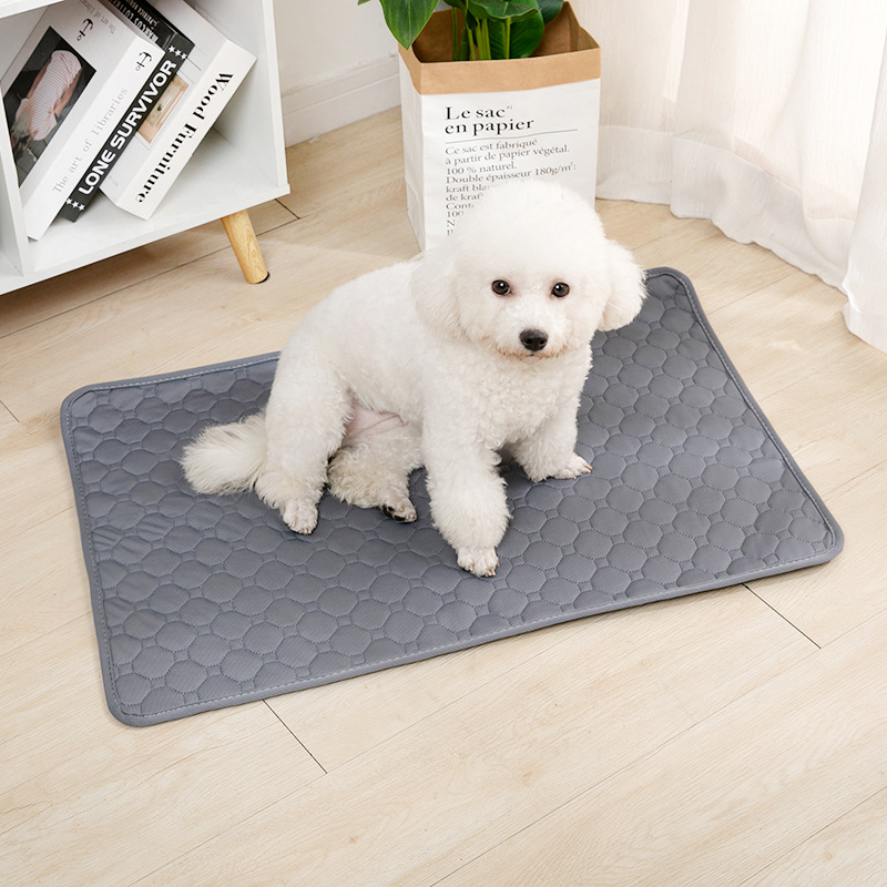 Reusable Dog Pee Pad Blanket A - Pet Supplies Dog Wash incelemesi ve fiyatı