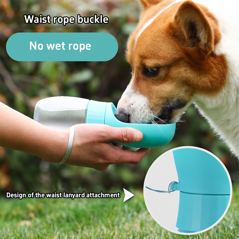 500ml Big Dog Water Bottle Por - Slow Feeder Dog Bowl incelemesi ve fiyatı