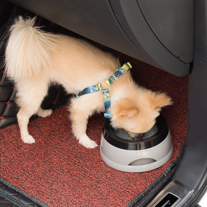 Can be Used on the Car Pet Dog - Slow Feeder Dog Bowl incelemesi ve fiyatı
