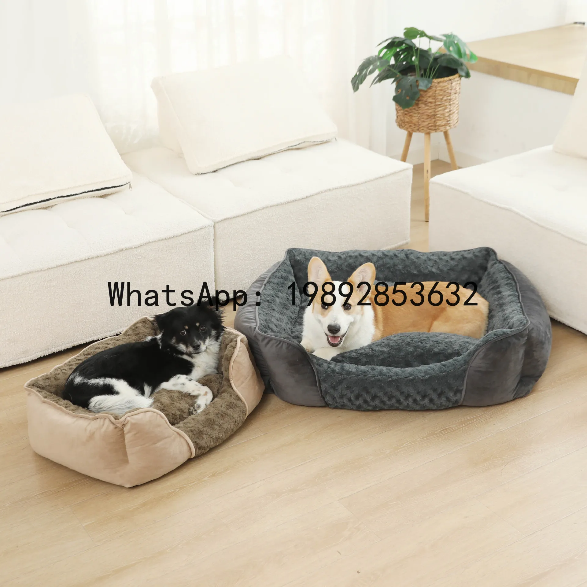 X cat house semi-enclosed dog  - Pet X Supplies & Tack Reviews incelemesi ve fiyatı