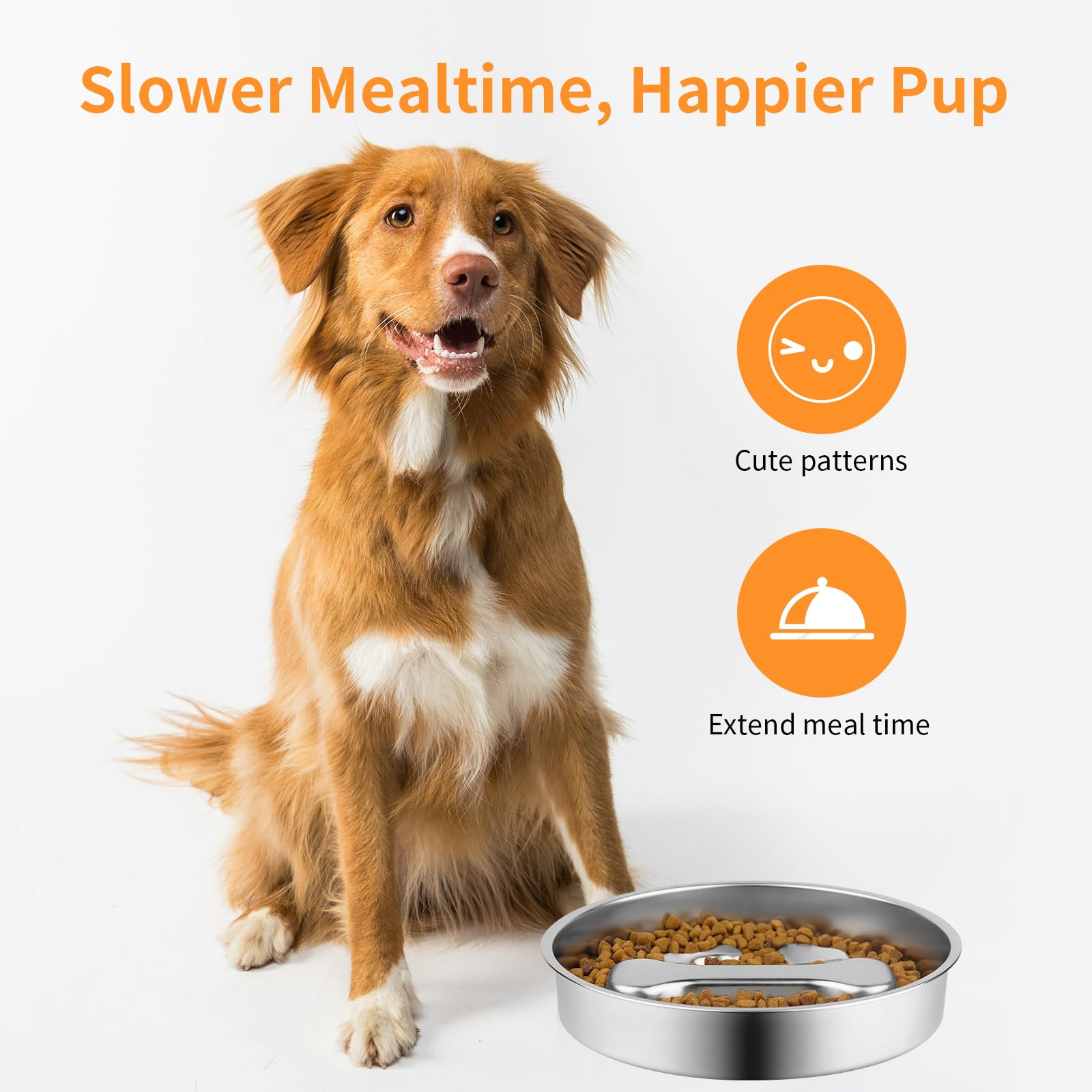 Slow Feeder Dog Bowl, Metal No - Slow Feeder Dog Bowl incelemesi ve fiyatı