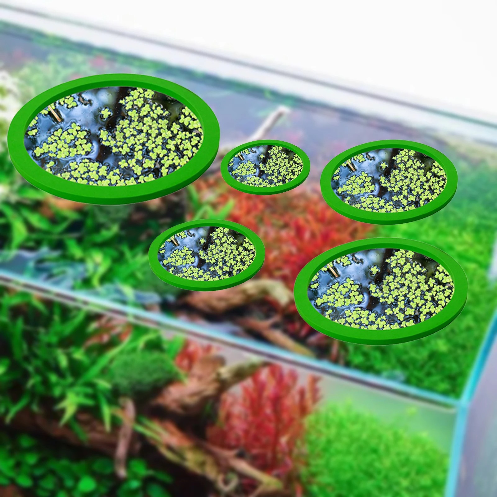 5Pcs EVA Fish Feeding Ring Aqu - Aquarium Fish Tank incelemesi ve fiyatı