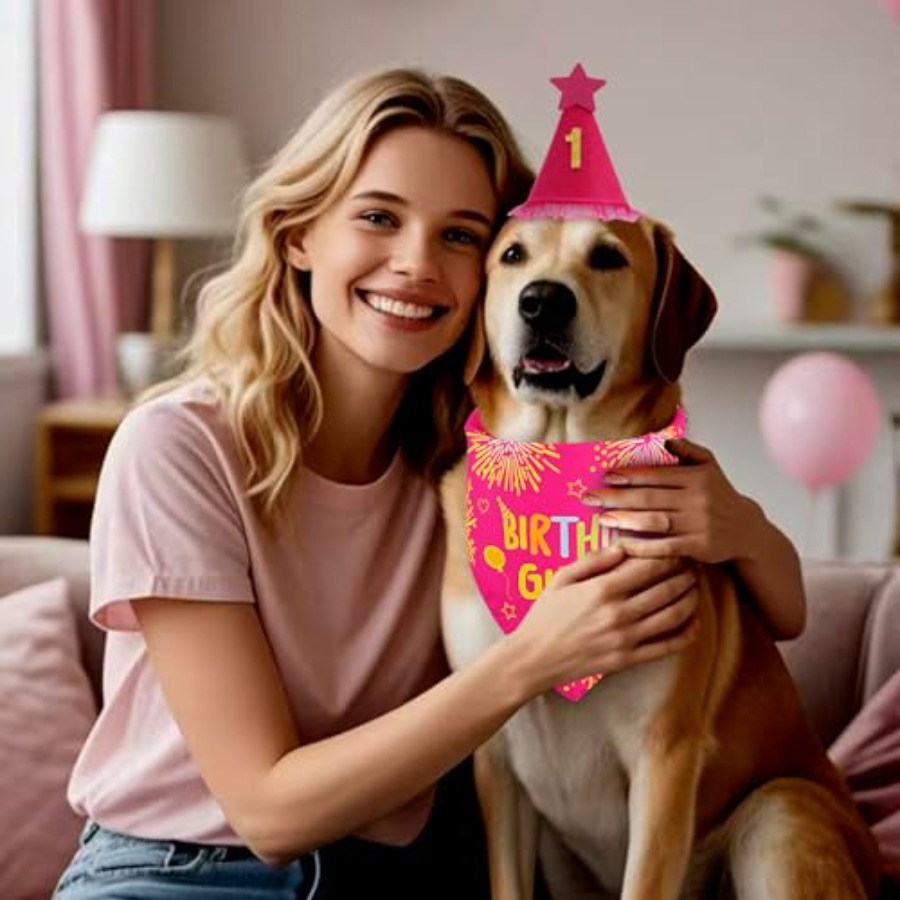 Dog Birthday Party Supplies, R - Pet X Supplies & Tack Reviews incelemesi ve fiyatı
