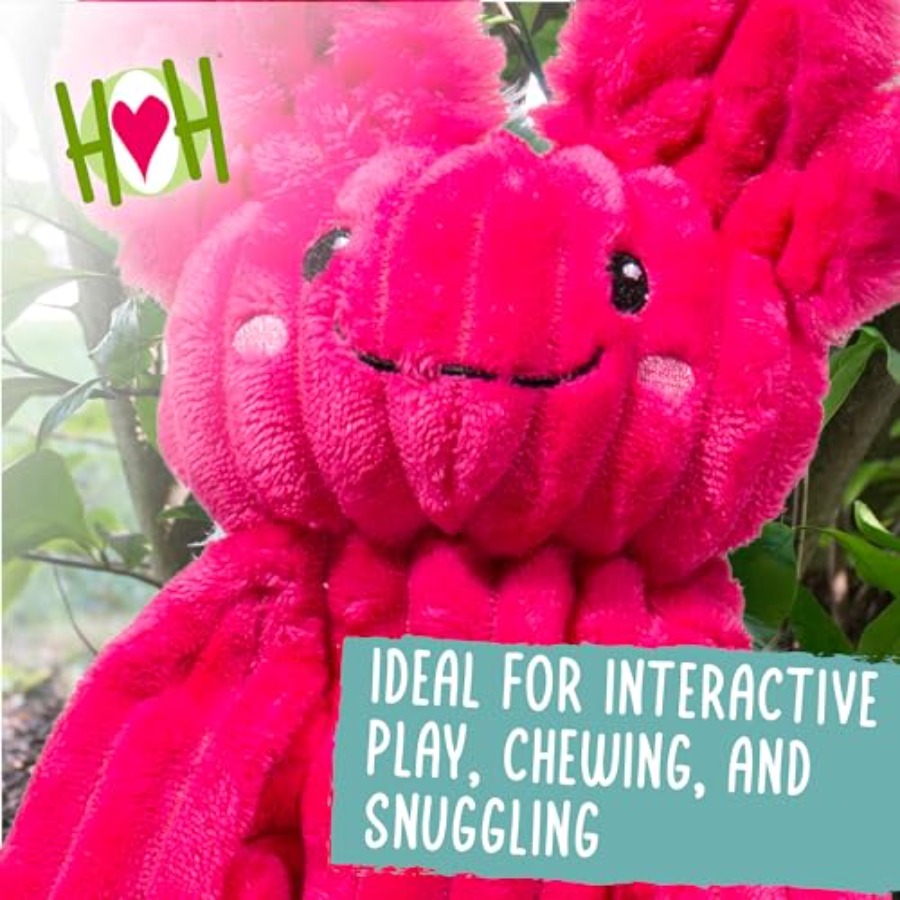 X-Brace Squeaky Dog Toy - Inte - Pet X Supplies & Tack Reviews incelemesi ve fiyatı