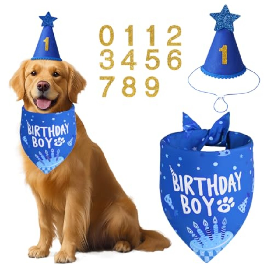 Dog Birthday Party Supplies, B - Pet X Supplies & Tack Reviews incelemesi ve fiyatı