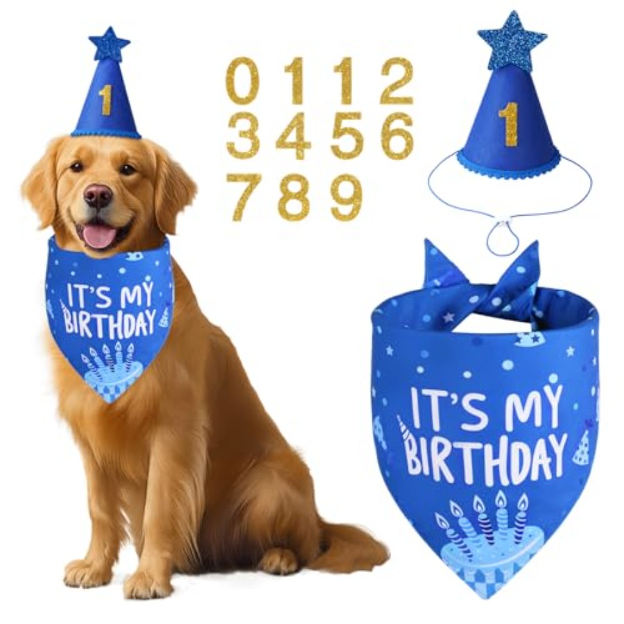 Dog Birthday Party Supplies, B - Pet X Supplies & Tack Reviews incelemesi ve fiyatı