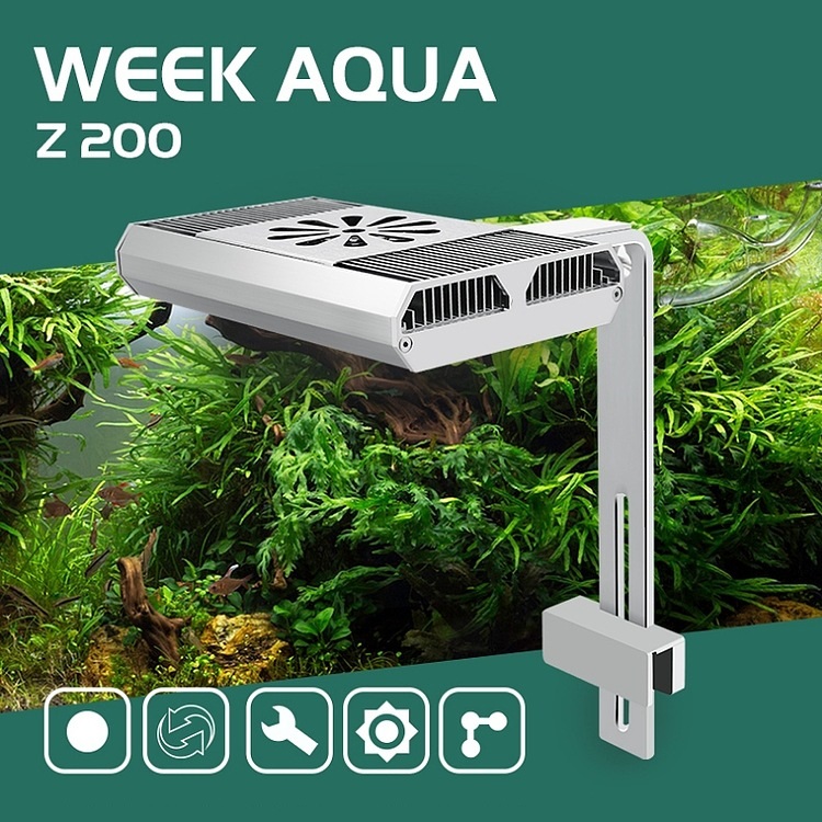 Full Spectrum Fish Tank Light  - Aquarium Fish Tank incelemesi ve fiyatı