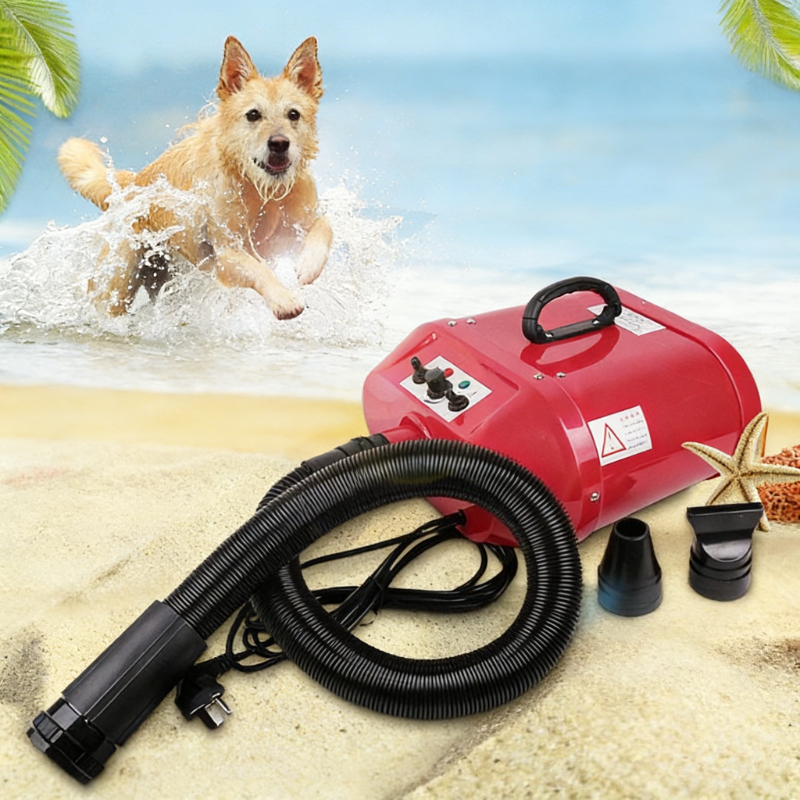 Double Motor Water Blower Pet  - Pet Supplies Pet Shop incelemesi ve fiyatı