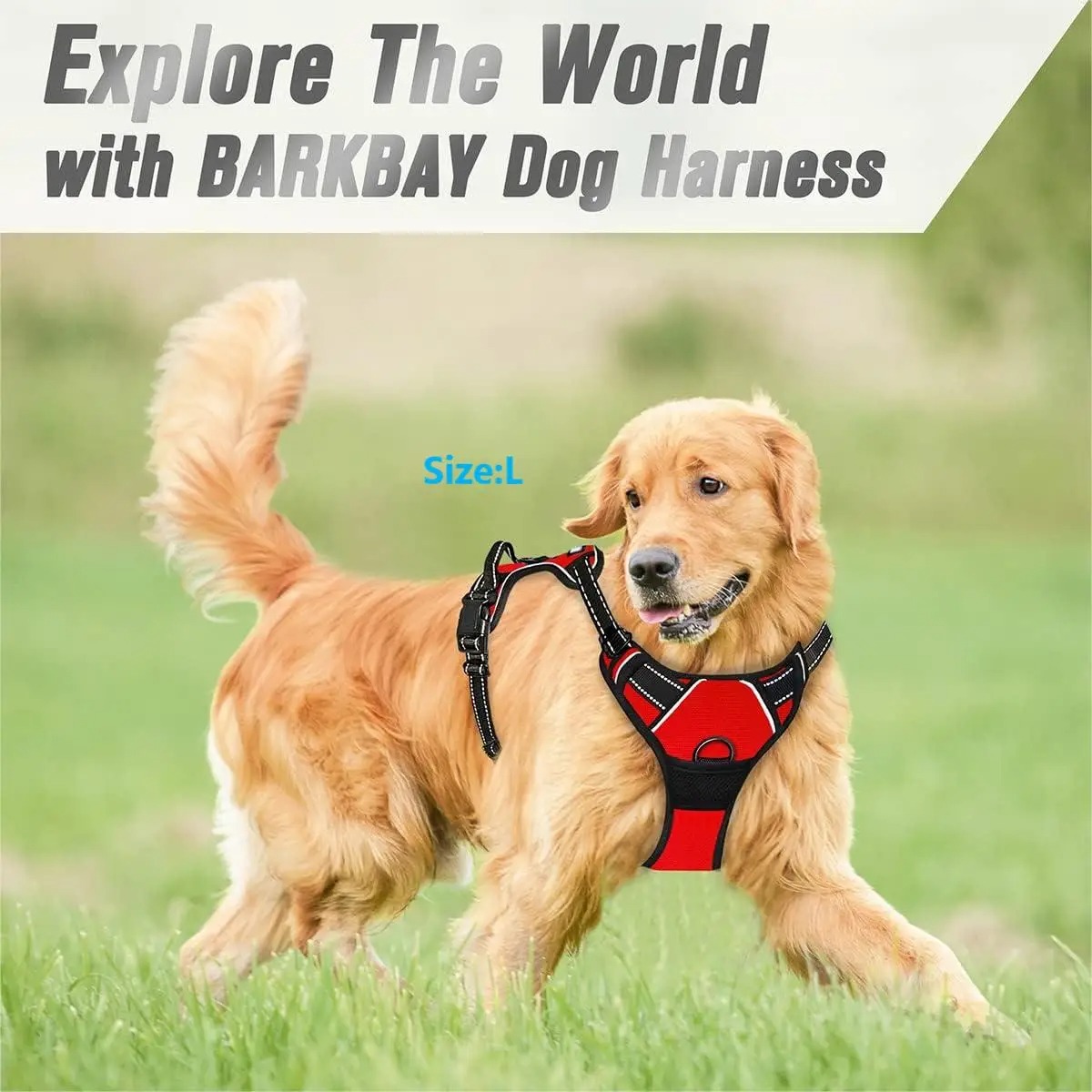 Dog Collar, Harness, Large Ves - Pet Supplies Pet Shop incelemesi ve fiyatı