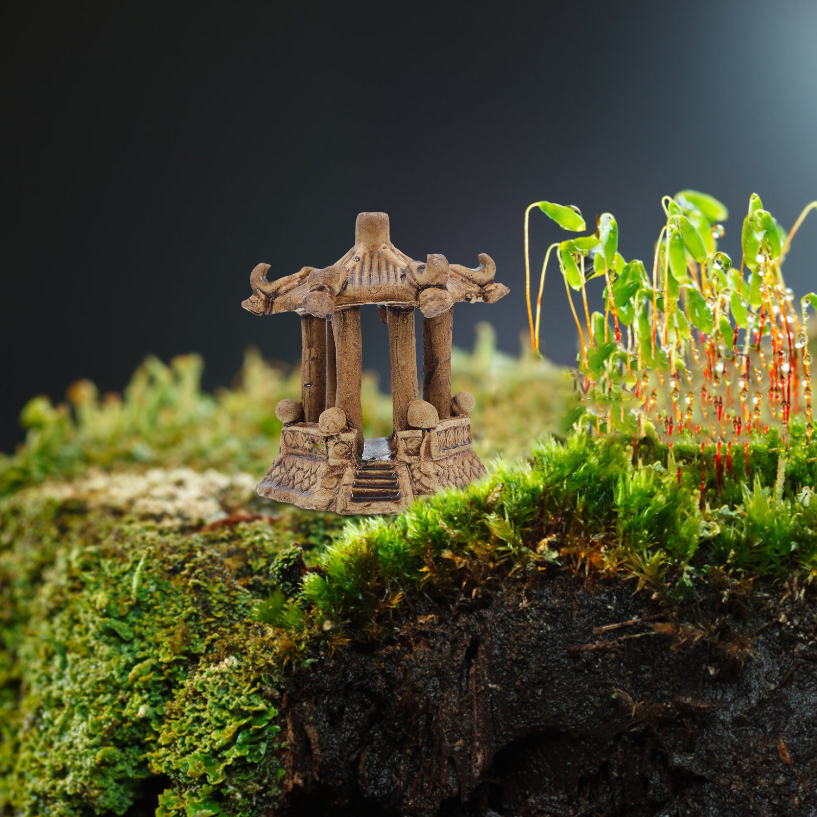 Miniature Hexagonal Pavilion C - Aquarium Fish Tank incelemesi ve fiyatı