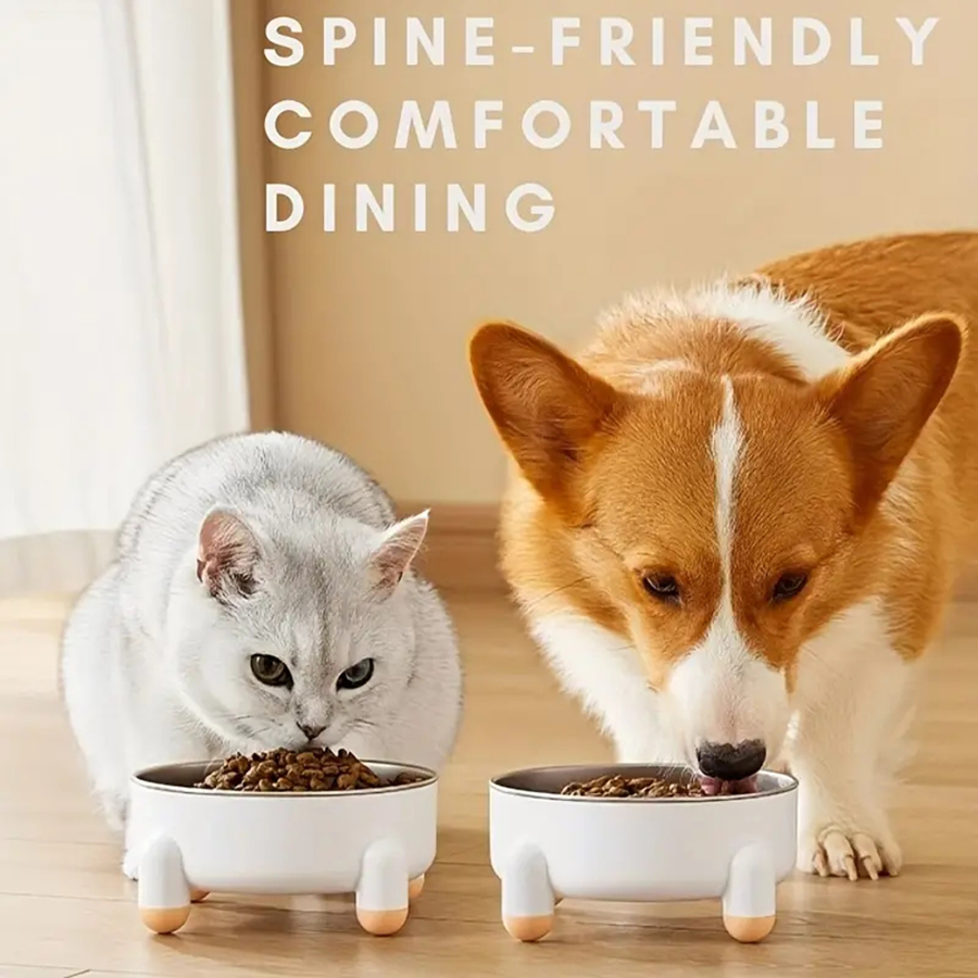 Anti-skid Pet Feeder Bowl Stai - Slow Feeder Dog Bowl incelemesi ve fiyatı