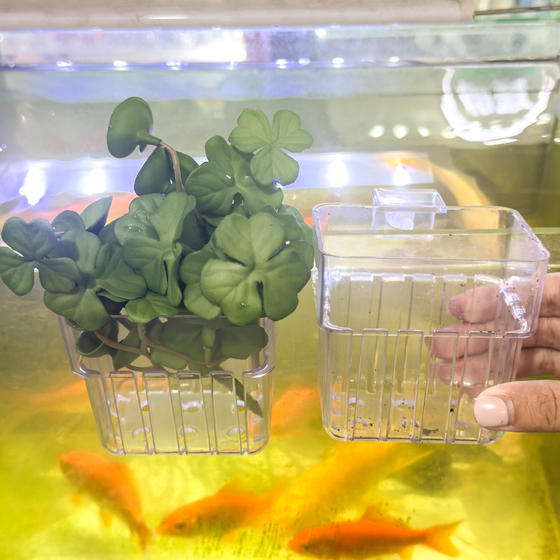 1/5pcs Aquarium Decoration Pla - Aquarium Fish Tank incelemesi ve fiyatı