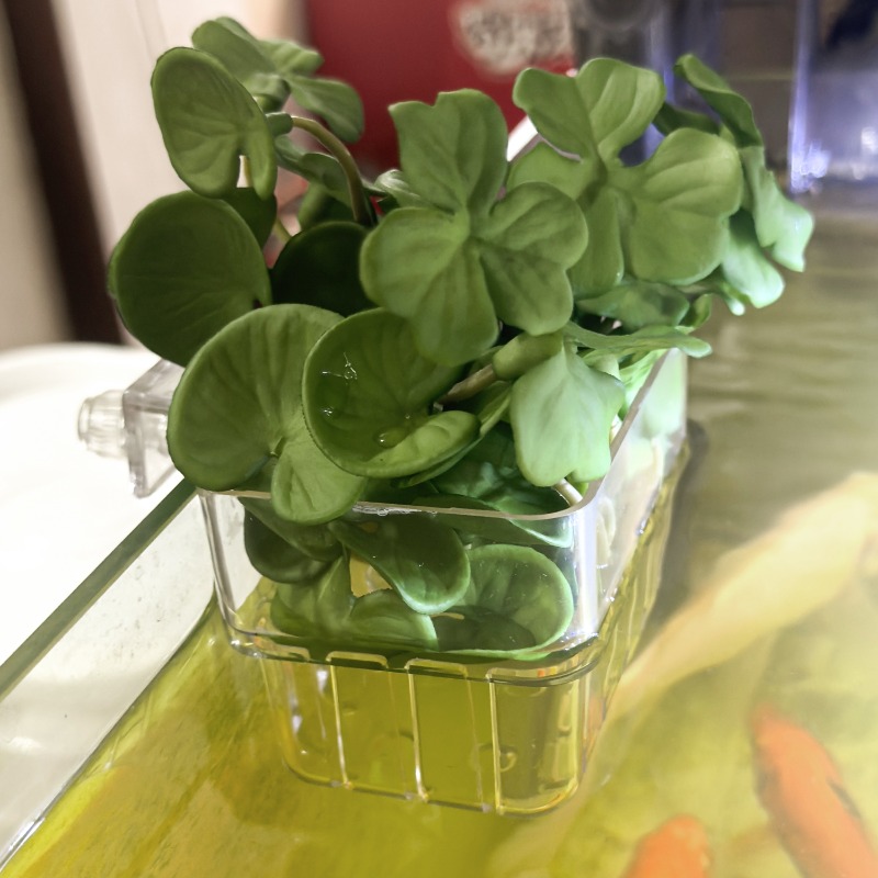 1/5pcs Aquarium Decoration Pla - Aquarium Fish Tank incelemesi ve fiyatı