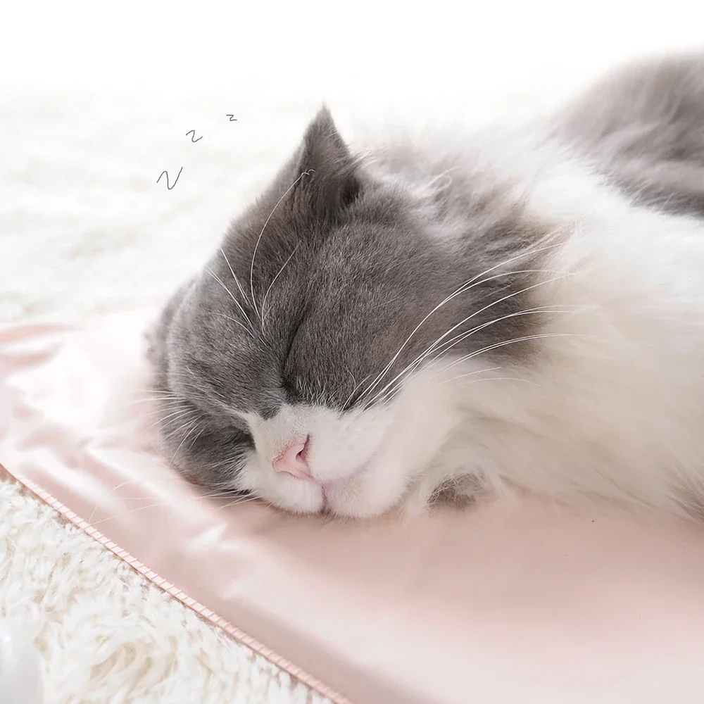 Winter Pet Heating Blanket Wat - Pet Supplies Dog Wash incelemesi ve fiyatı